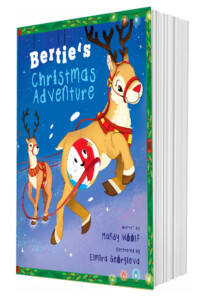 Bertie’s Christmas Adventure