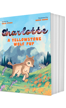 Charlotte A Yellowstone Wolf Pup