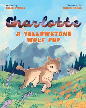 Charlotte A Yellowstone Wolf Pup